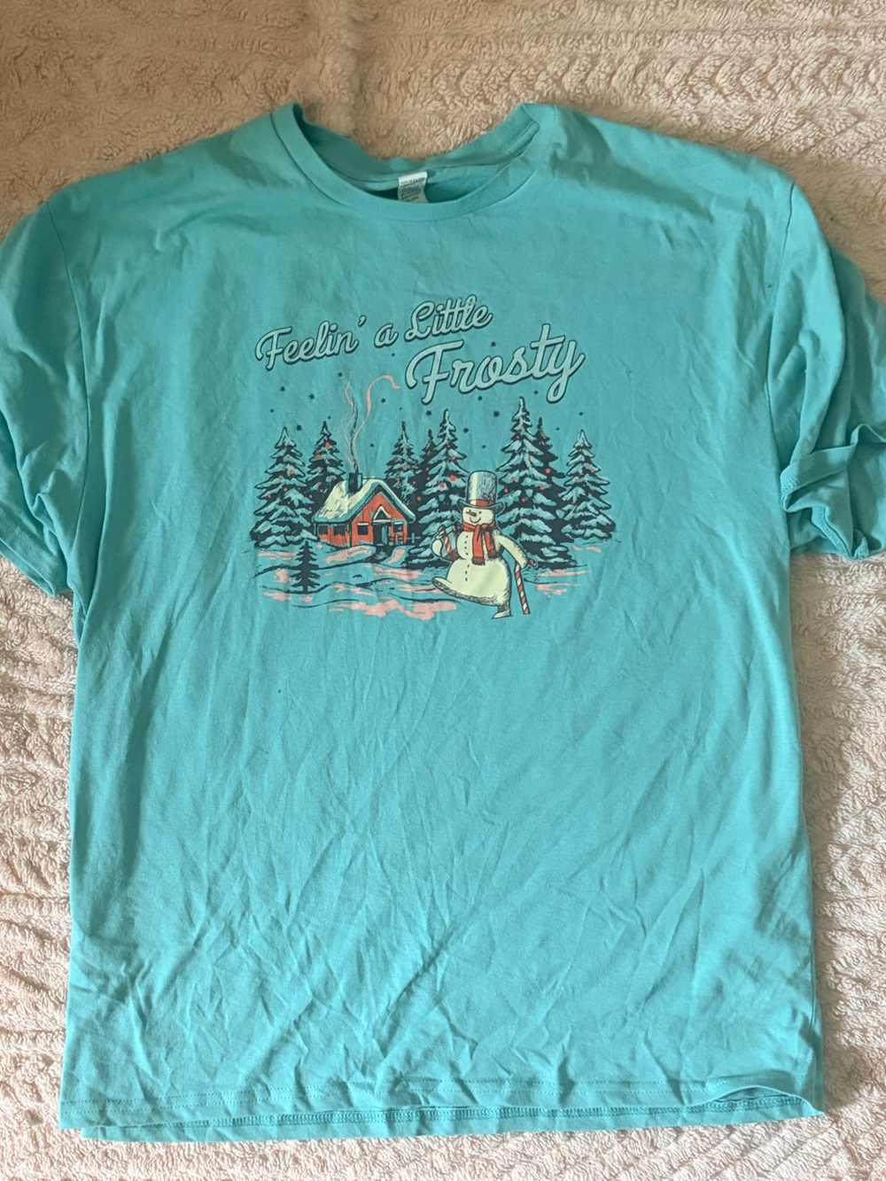Vintage Teal Short-Sleeve Graphic Tee - 'Feelin' a Little Frosty'